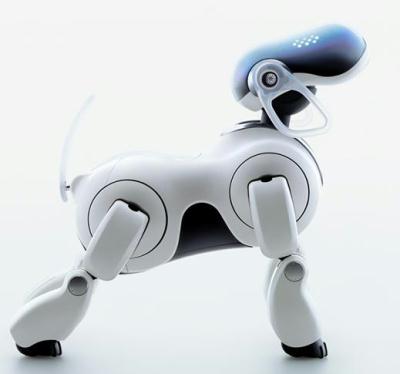 Ein AIBO ERS-7 in Pose!